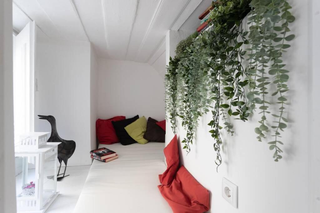 Apartamento Historical Center Renewed *